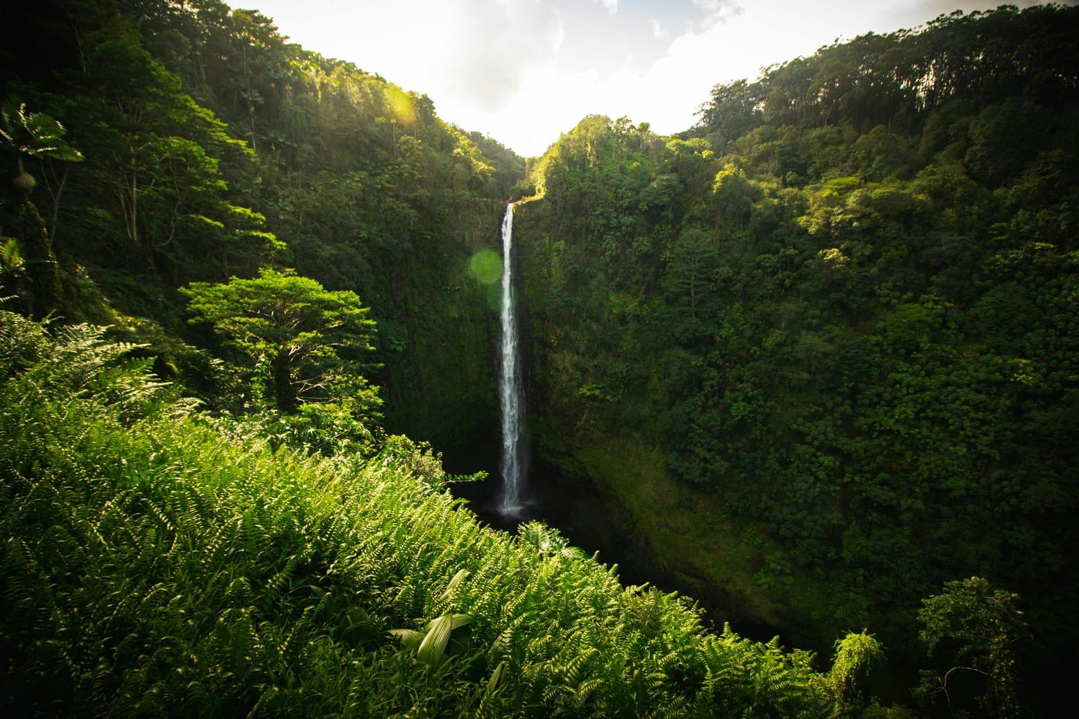 Hamakua scenery