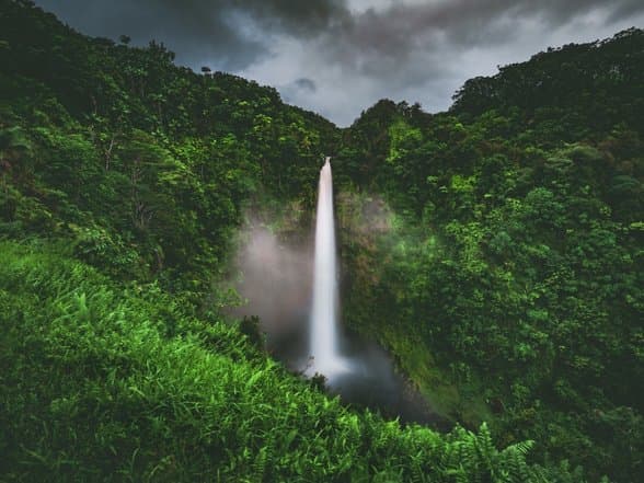 Hamakua scenery