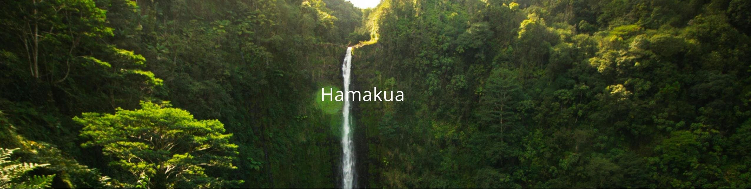 Hamakua