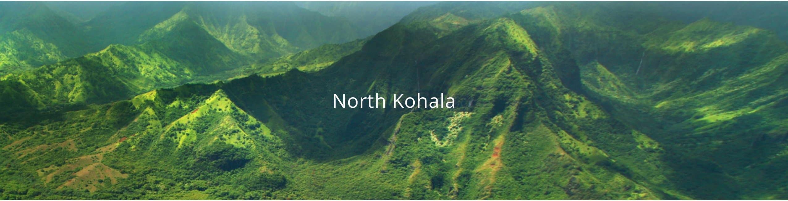 North Kohala