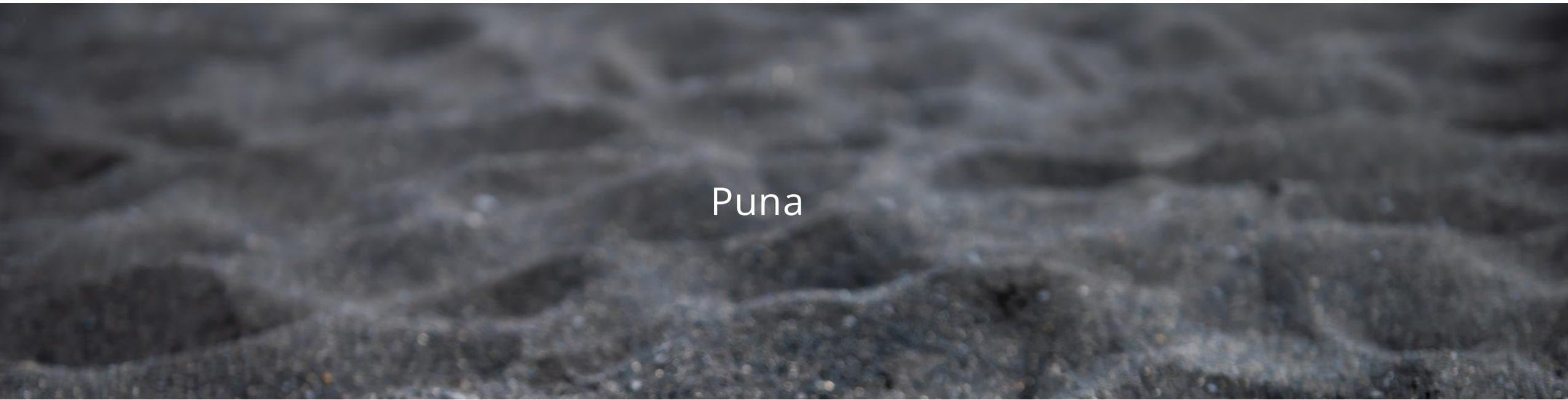 Puna