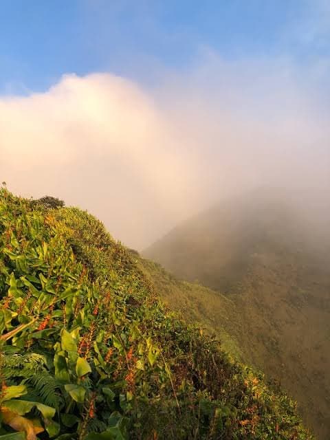North Kohala scenery