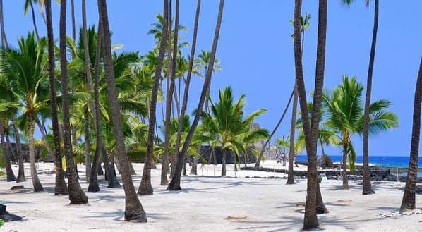 South Kona scenery